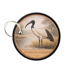 PC PR10420  Threskiornis