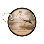 PC PR10422  Mycteria ibis