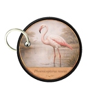 PC PR10423  Phoenicopterus