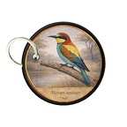 PC PR10429  Merops apiaster