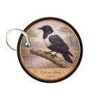 PC PR10440  Corvus albus