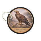 PC PR10449  Aquila nipalensis