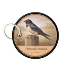 PC   PR10369  Hirundo rustica