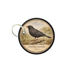 PC PR10358  Turdus merula