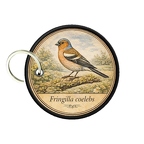 PC PR10362  Fringilla coelebs