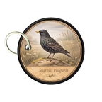 PC PR10365  Sturnus vulgaris