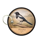 PC PR10366  Pica pica