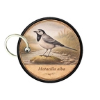 PC PR10371  Motacilla alba
