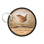 PC PR10372  Troglodytes