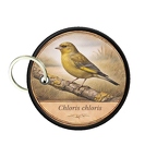 PC PR10373  Chloris chloris