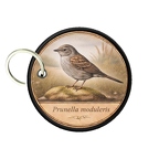 PC PR10376  PRunellamodularis