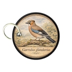 PC PR10377  Garruluglandariu
