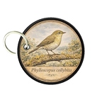 PC PR10380  Phylloscopuscollyee