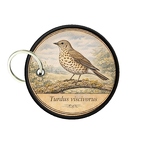 PC PR10381  Turdus philomelos