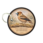PC PR10384  Coccothraustes