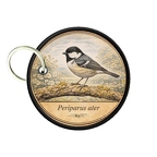 PC PR10388  Periparus ater
