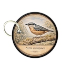 PC PR10389  Sitta europaea