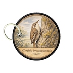 PC PR10390  Certhiabrachydact