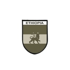 PBLVECA 6091 Ethiopie lion