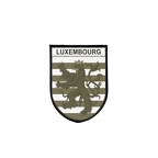PBLVECA 6107 Luxemourg lion