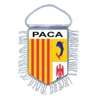 MFK372 paca