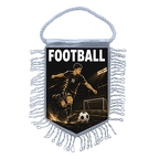 MFK487a football