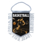 MFK488 Basketball