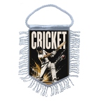 MFK490 Cricket