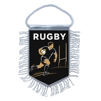 MFK491 Rugby