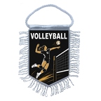MFK494 Volley-ball