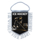 MFK495 Hockey sur glace