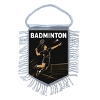 MFK497 Badminton