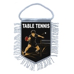 MFK498 Tennis de table