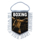 MFK502 Boxe