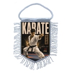 MFK505 Karate