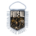 MFK528 Futsal