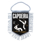 MFK557 Capoeira