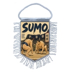 MFK565 Sumo