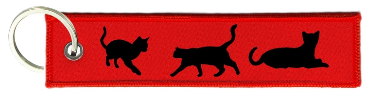 Portachiavi portachiavi gatto - Foto 5 di 14